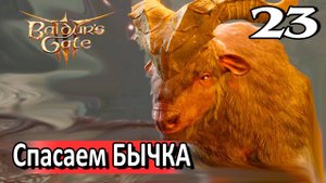 23. Спасаем быка #baldursgate3 #baldursgate3доблесть