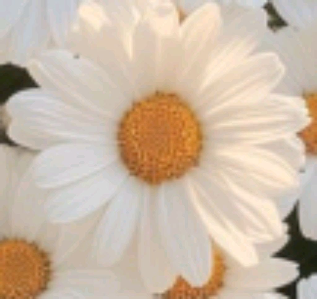 обзор на мой пенал смотреть онлайн