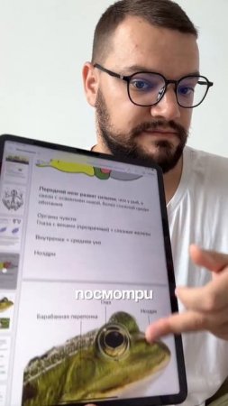 Переходи в мой тгк (ссылка в шапке) чтобы забрать конспекты со всей теорией к ОГЭ по биологии