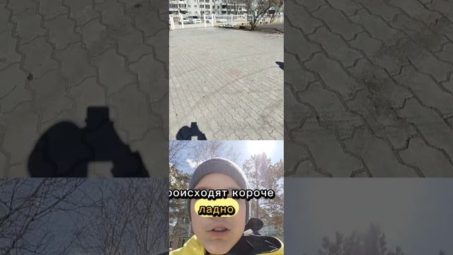 сталкеры 2 часть