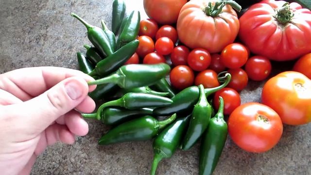 Hydroponic harvest 8 3 2014