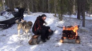 выезд в лес с собаками, жарим мясо на костре.