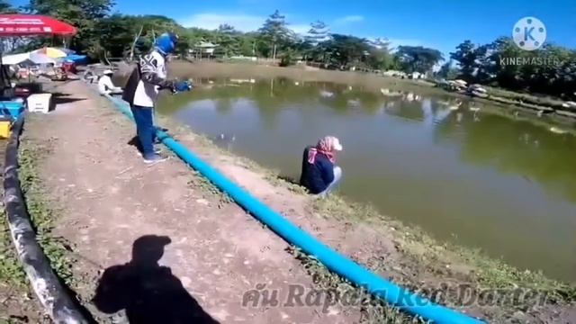 ลุยหมายกับลุงพล:Ep3คันหวานๆBfs Rapala Red Darter กะพงงัดหงาย смотреть онлайн