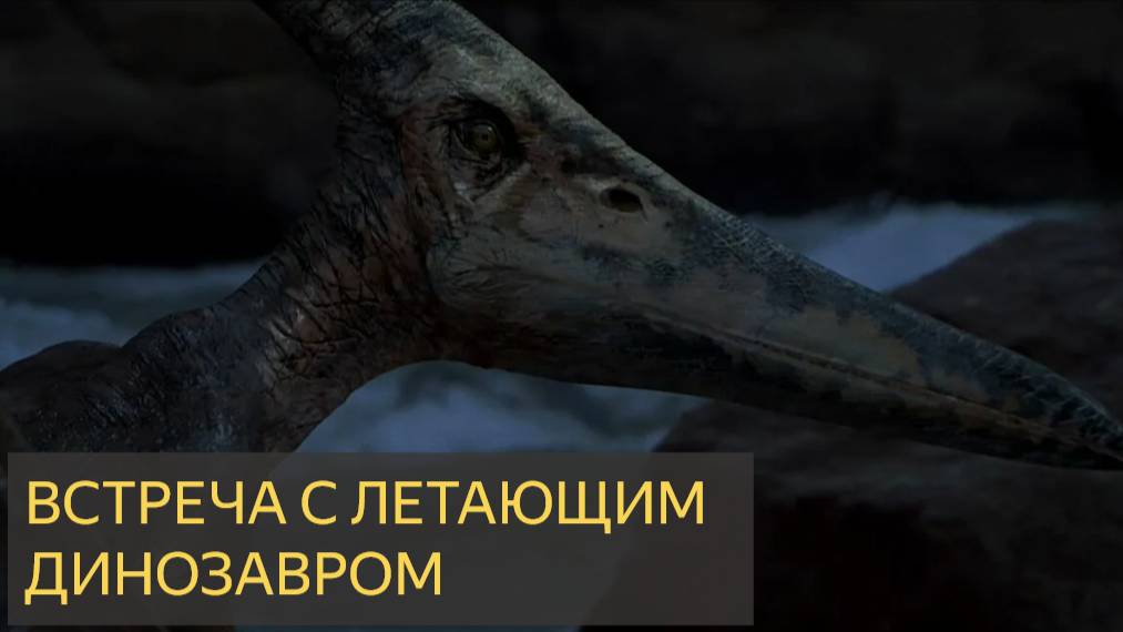 Встреча с летающим динозавром (Мистическая история)