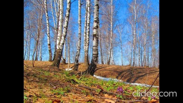 Песня "Апрель"