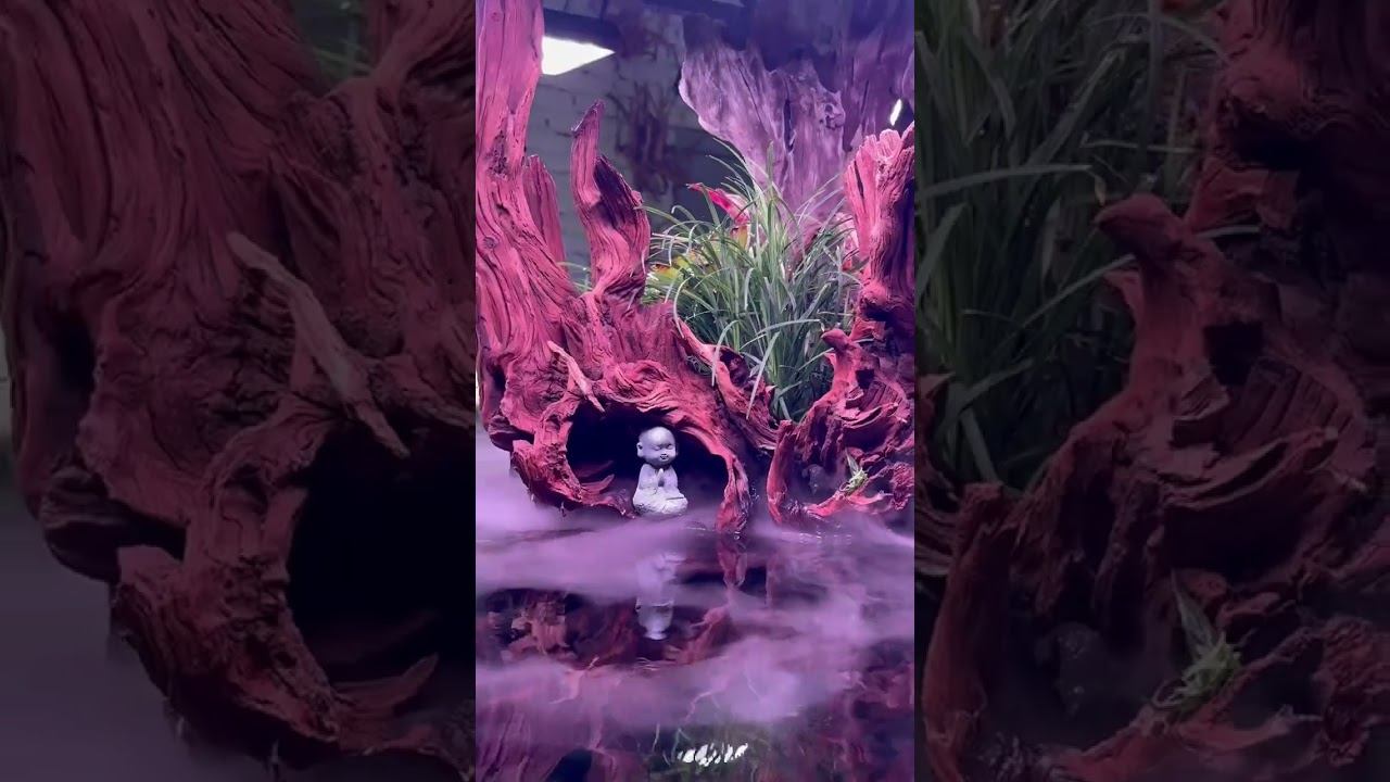 С чем у вас ассоциируется этот аквариум? смотреть онлайн