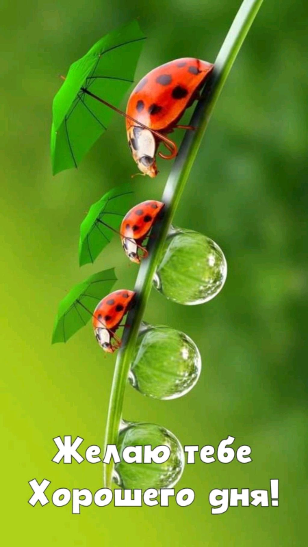 освещение смотреть онлайн