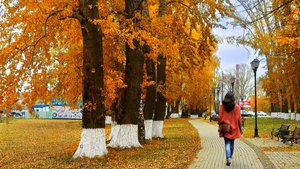 Софья Бабич. "Там нет меня."