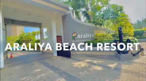 ARALIYA BEACH RESORT & SPA 4K60H
