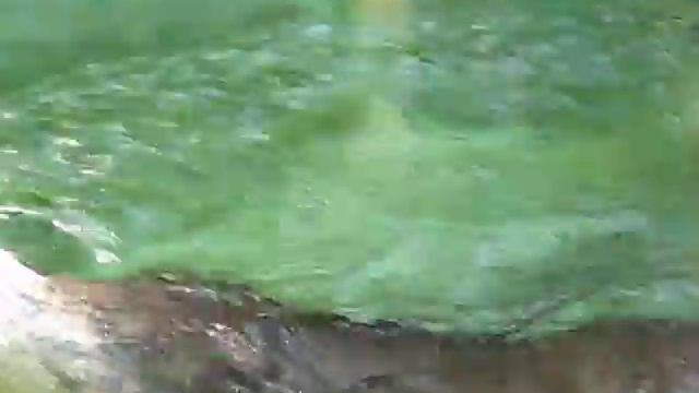 как ныряет смотреть онлайн