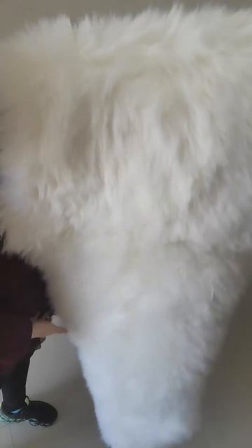 Double pelt sheepskin rug