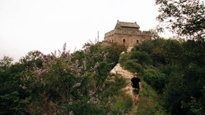 2894892-uhd_3840_2160_24fps