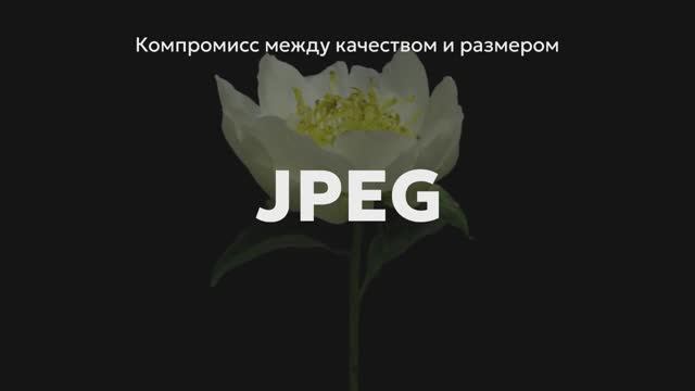 Understanding_JPEG_Image_Compression