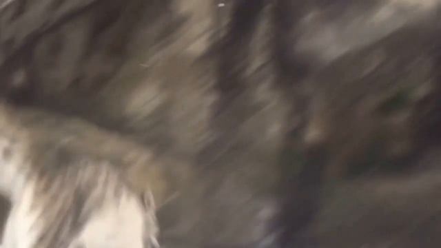 These interesting moments смотреть онлайн