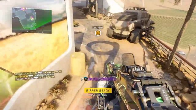 Playing with the Dingo!! смотреть онлайн