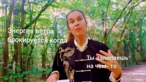 Вводный урок курса «Пробуждение Энергии.Возрождение тела»