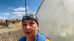 Неужели у вас нету мужчин в соседях