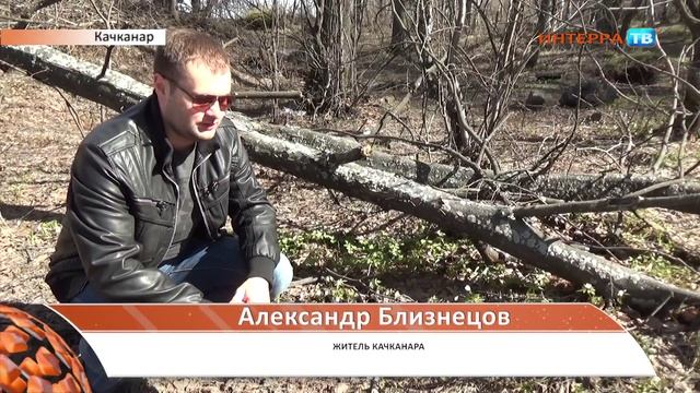 День подснежника СХ 2 19 04 16 смотреть онлайн