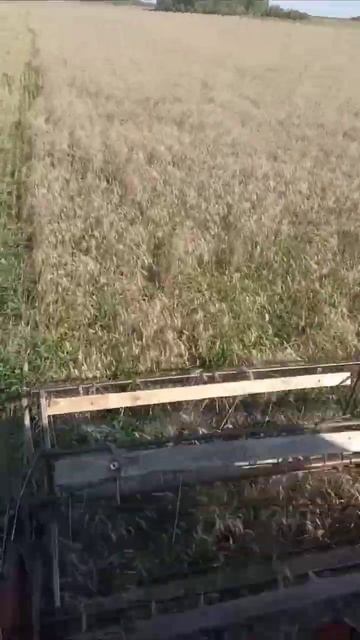 Комбайн Нива СК-5 летает на колыме смотреть онлайн