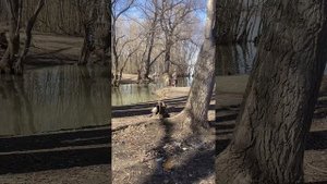 Влог, Поход в парикмахерскую, прогулка