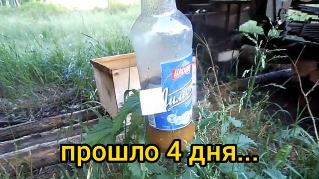 НОВИЧКАМ !!! КАК БОРОТЬСЯ С УБИЙЦАМИ ПЧЕЛ... смотреть онлайн