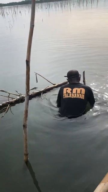 Oyster 🦪 смотреть онлайн