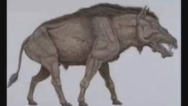 Cryptids and Monsters:  Beast of Dean, a ferocious boar-like cryptid said to roam Gloucestershire