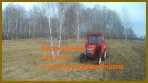 Выравниваю муравейники! Что делают бороны с муравейниками? Весеннее боронование сенокосов. 20 апреля