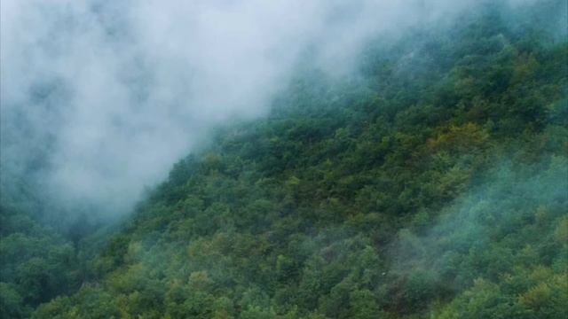 JAEWON AHN (cello) discusses Armenian Music Program and performs Khudoyan’s Sonata No.3 смотреть онлайн