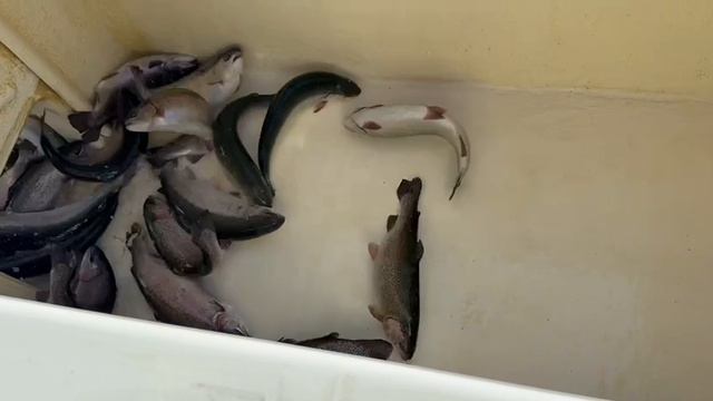 16-04-2025 смотреть онлайн