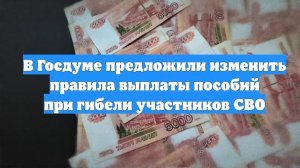 В Госдуме предложили изменить правила выплаты пособий при гибели участников СВО