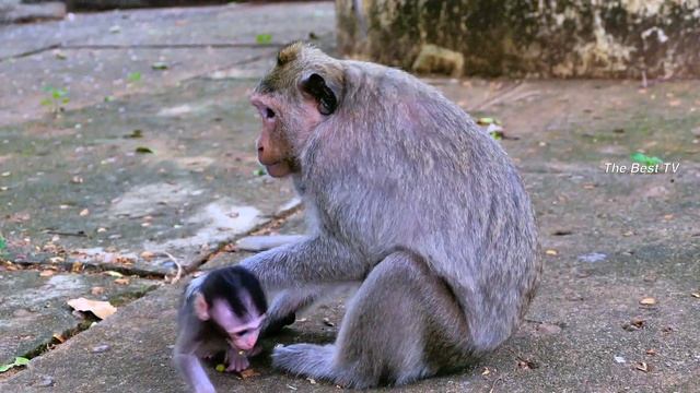 So cute baby Mira very happy playing with the camera and mom Malika смотреть онлайн