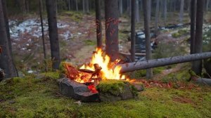 📺 Уютный лесной костер и естественная релаксация 🌲Успокаивающие звуки