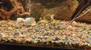 небольшой аквариум 2м длина