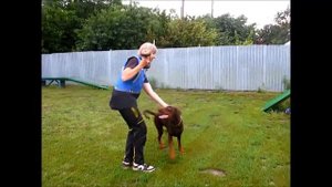 Апортировка через барьер (1  этап)"Обучение с нуля"  Урок 30