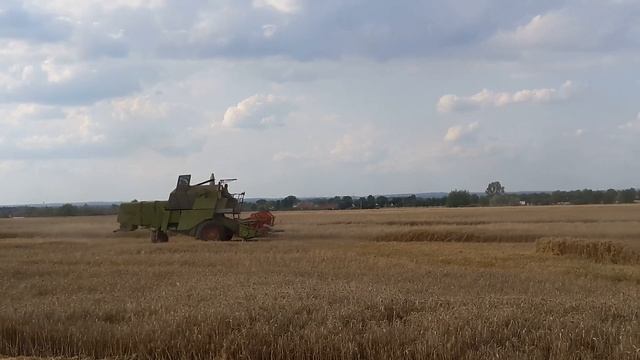 Żniwa 2017 pszenica dzień 3 claas i bizon sąsiada w akcji 😊 смотреть онлайн