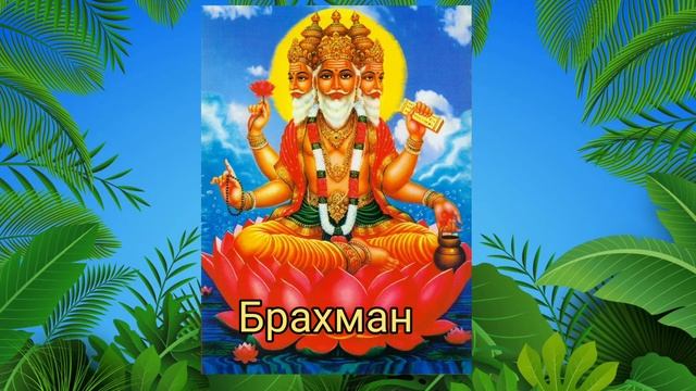 "Фарбований шакал"🐺//індійська народна казка//підр.Волощук Є.//5клас👍 смотреть онлайн