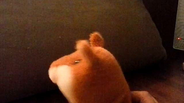 ОБЗОР ХОМЯКА смотреть онлайн