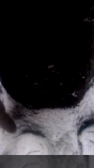 Охота на куницу капканами смотреть онлайн