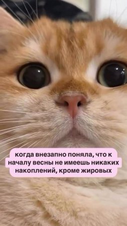 До лета осталось 46 дней 😳
