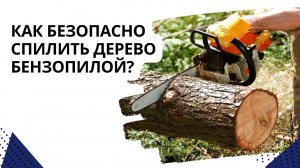 Как безопасно спилить дерево бензопилой
