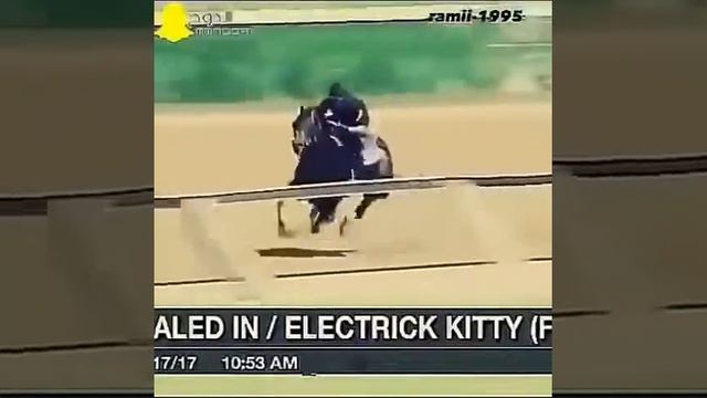 Арабски скакун смотреть онлайн