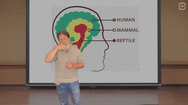 Роберт Сапольски — Депрессия