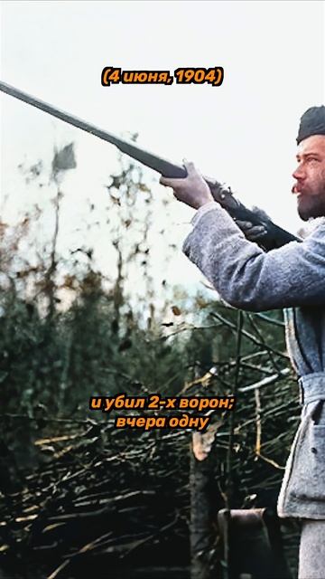 Сколько ворон насчитали?😰 смотреть онлайн