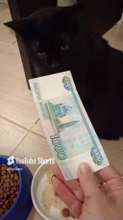 Что то всё мне надоело!