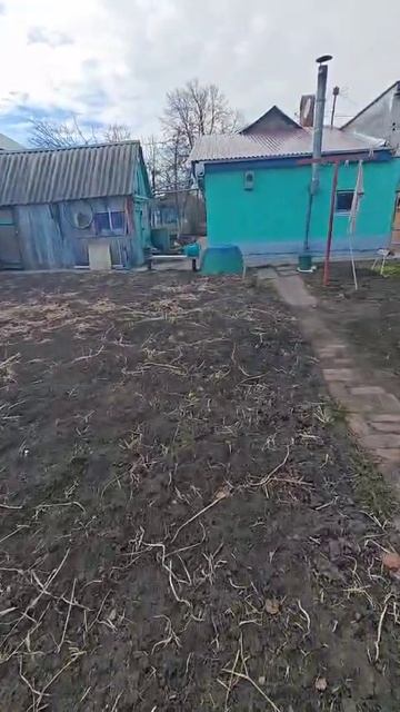 Первый скворец
в 2025г.