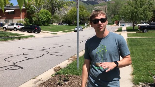 Flip your parkstrip: how to replace grass with a bee & butterfly garden смотреть онлайн