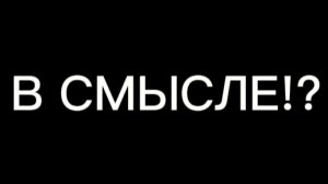 В СМЫСЛЕ!?