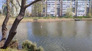 Доброе утро 16.04.25.