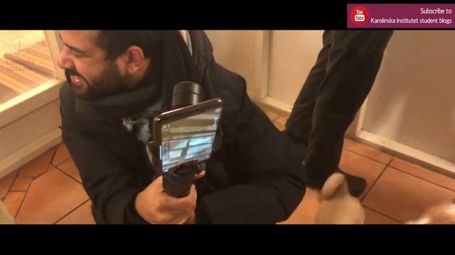 Have you seen the happy doggos on campus? - Karolinska Institutet Edition смотреть онлайн